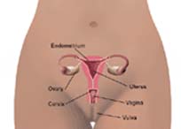 vulvar cancer symptoms