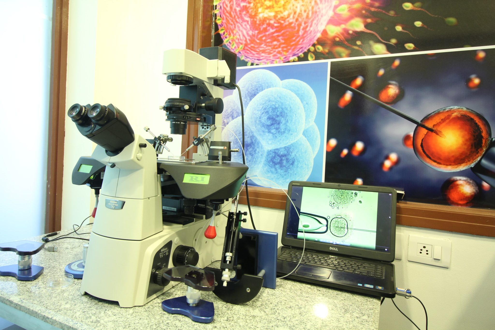ivf clinic delhi