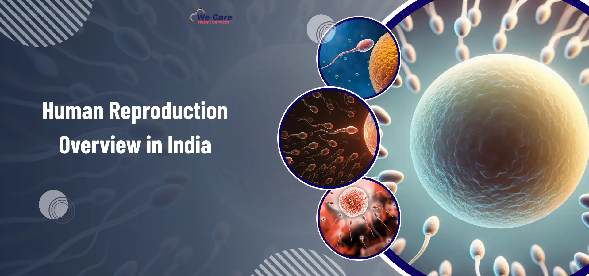 Human Reproduction Overview in India
