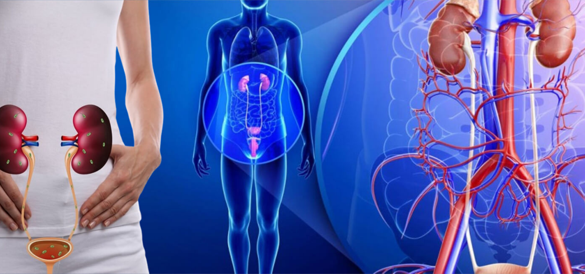 Nephrology and Urology Overview in India