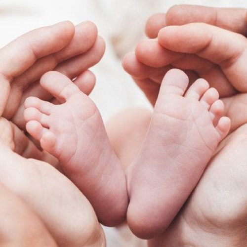 IVF vs. Surrogacy in India: Which is the Better Option?