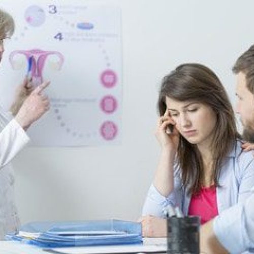 Fertility Consultation