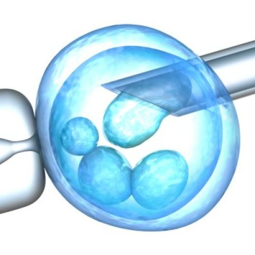 How does heat affect sperm production in India?
