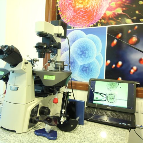 ivf clinic delhi