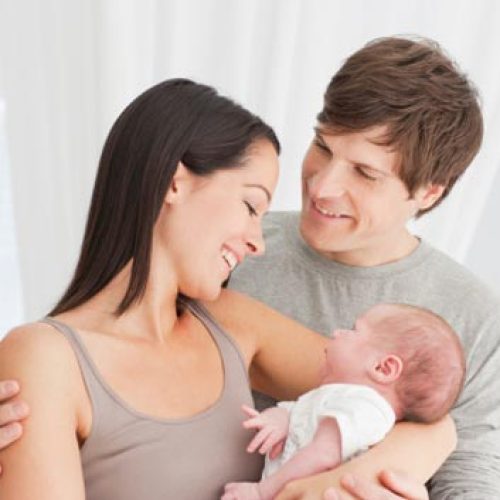 IVF Treatment Procedure in India