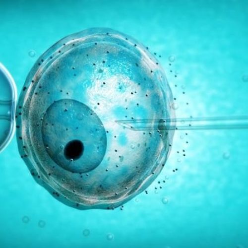 Which is the best month to come down in the favour of IVF treatment in India?