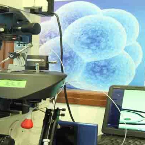 govt ivf centre in india, government test tube baby centre, best government ivf centre in delhi, ivf in aiims delhi, lok nayak hospital ivf cost, delhi ivf cost,