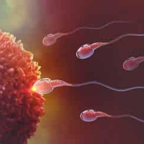 What to do if you found your sperm test in India abnormal?