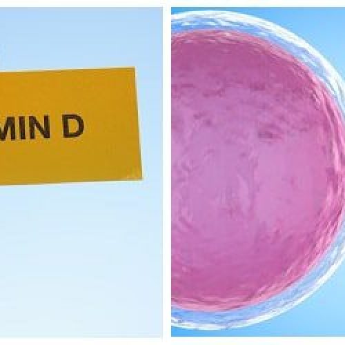 vitamin d and Infertility